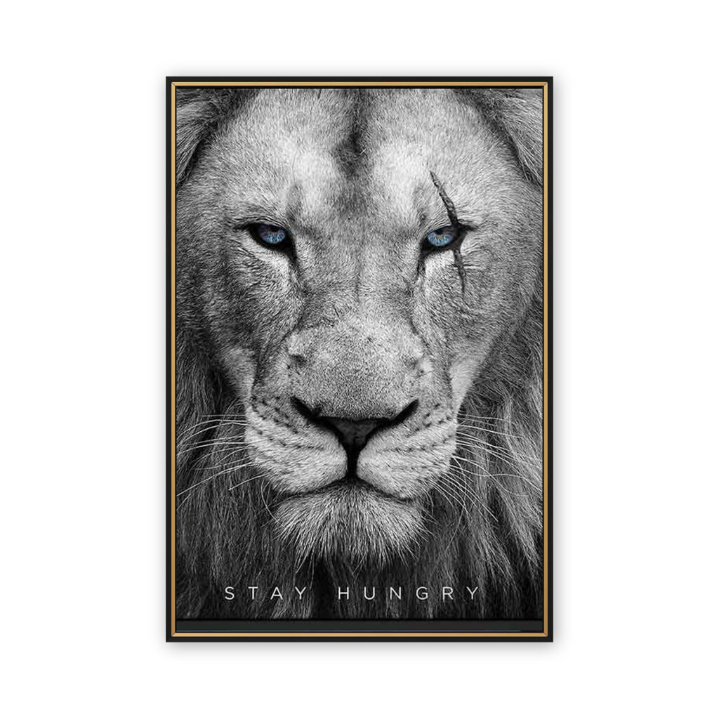 Stay Hungry