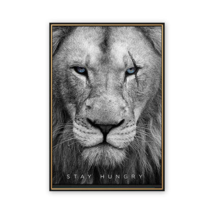 Stay Hungry