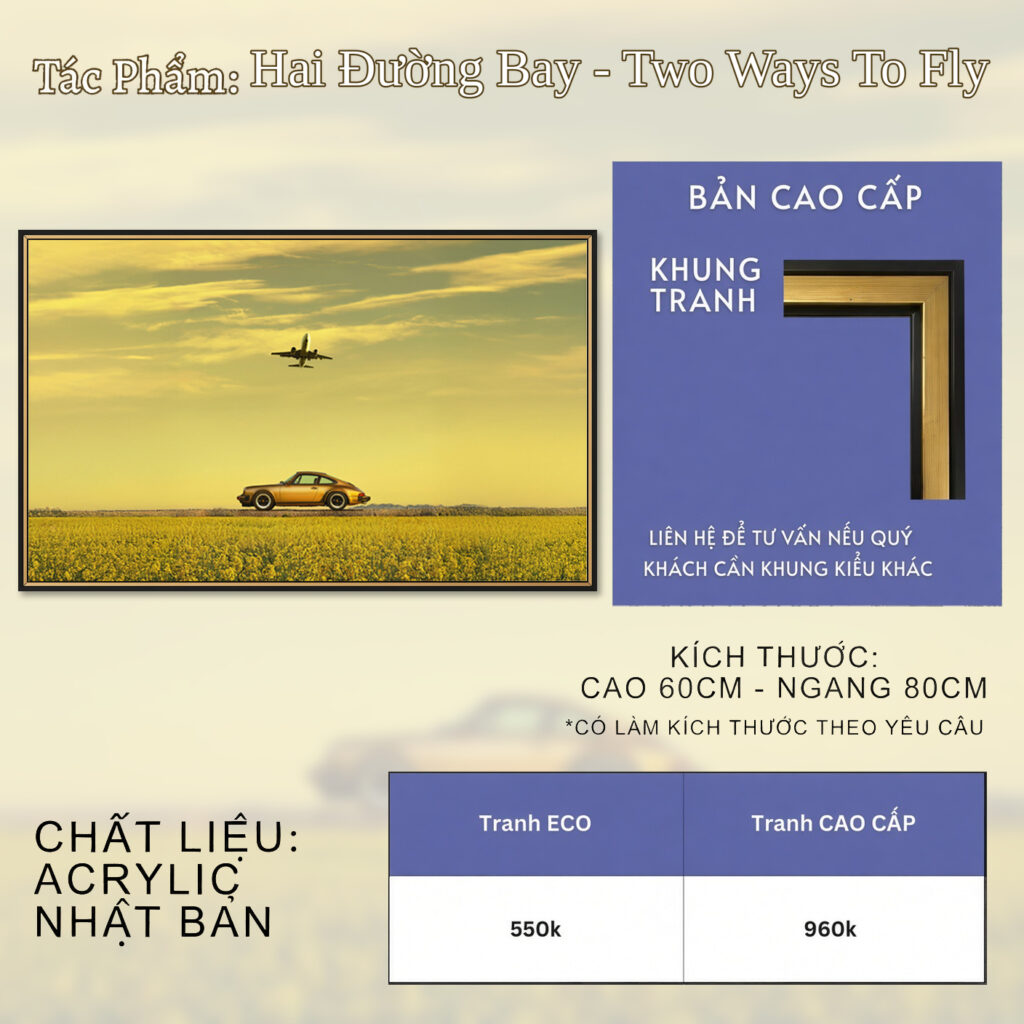 Hai Đường Bay - Two Ways To Fly