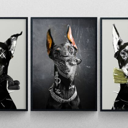 [3 Bức] Chó Doberman